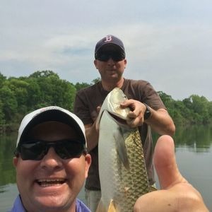 Meet your Posher, Avery